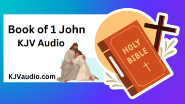 Book of John 1