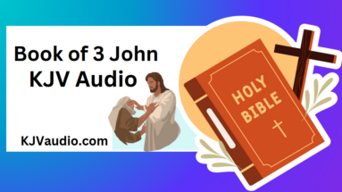 Book of John 3