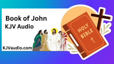 Book of John