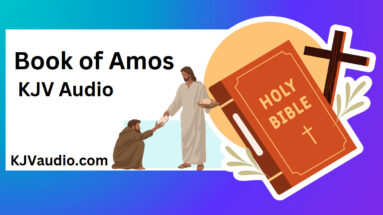 Book of Amos